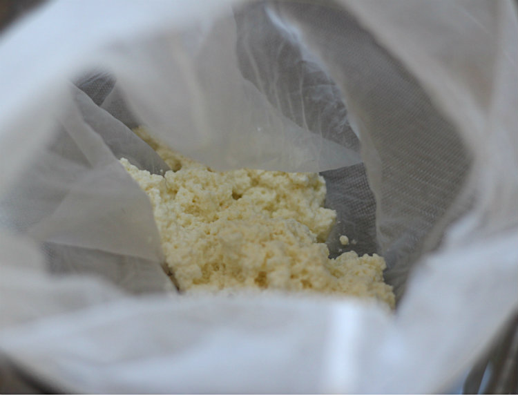 making ricotta - to her core