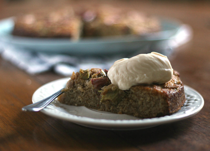 Grain free coconut and rhubarb cake || to her core