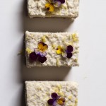 Lemon love bars, raw, vegan and filled with nutrient dense goodness and a whole lotta love! || to her core
