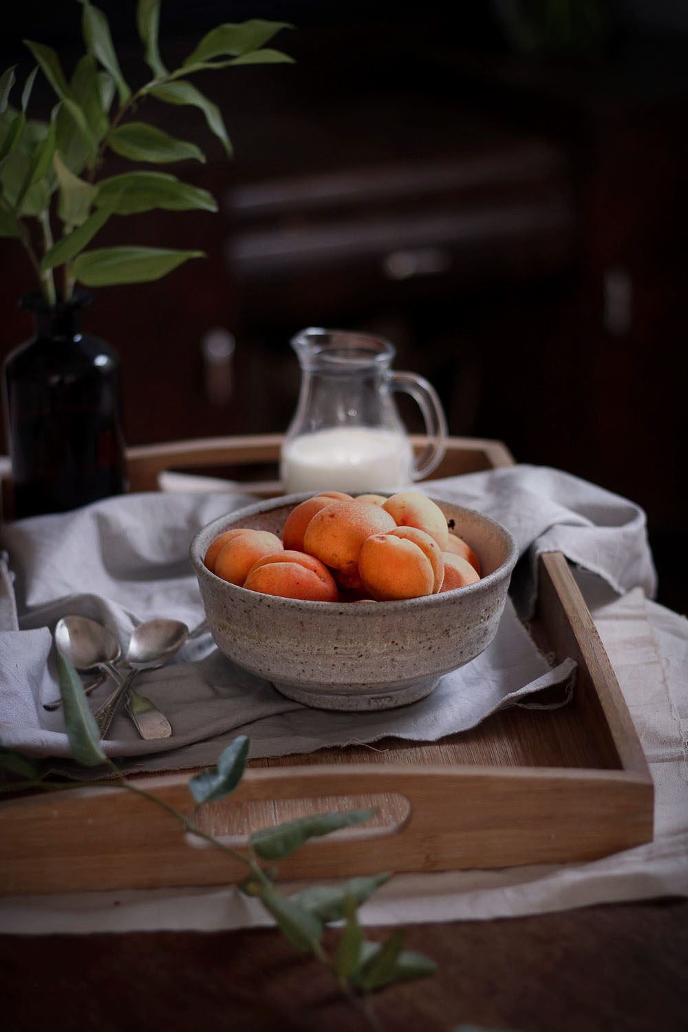 Charred apricot + buckwheat porridge - to her core